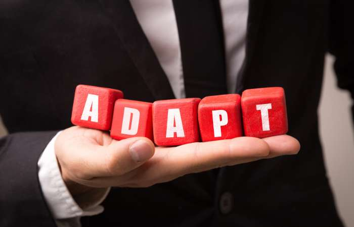 How Is Immigration Case Strategy Evolving in 2026?