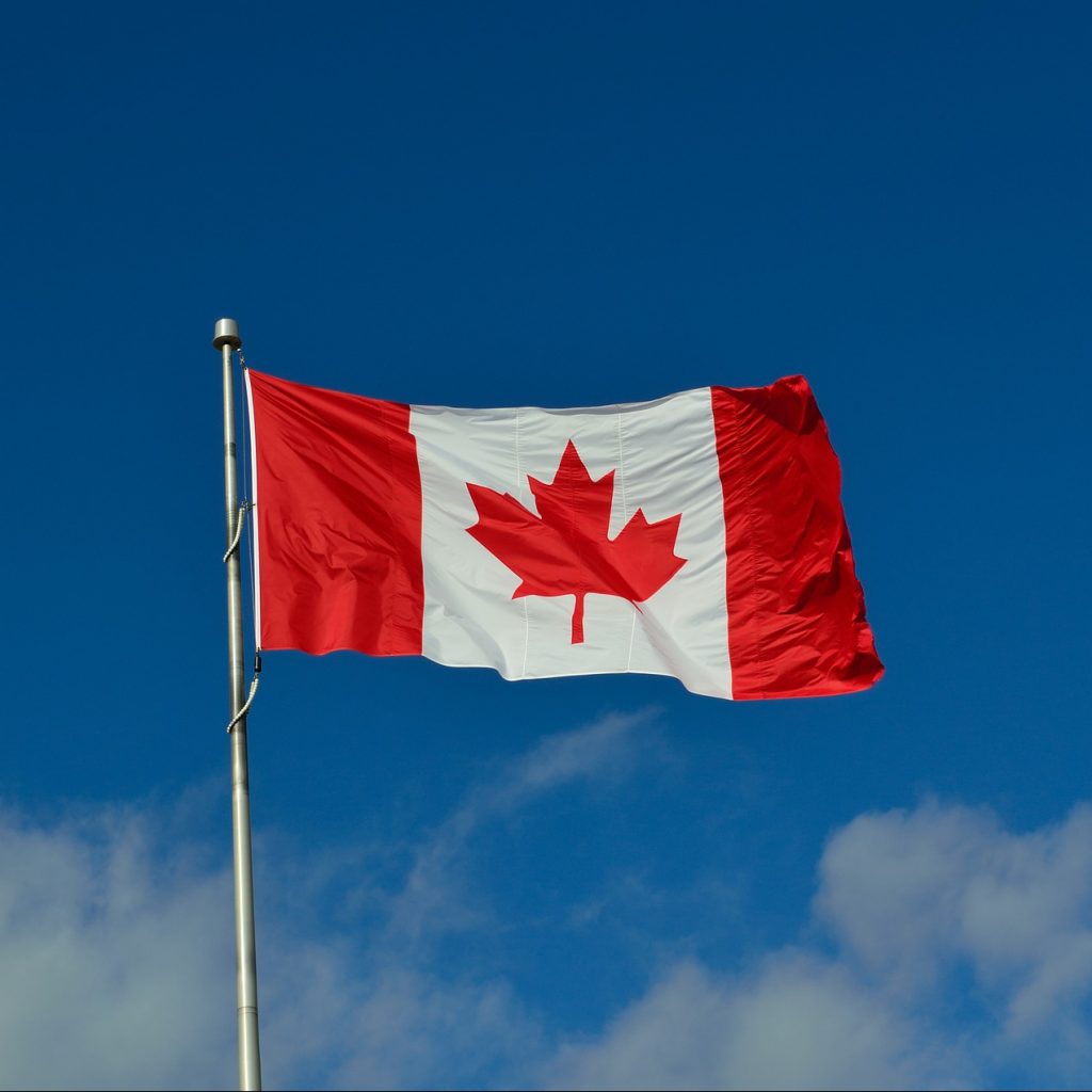 Sharing Expertise with Immigration Consultants