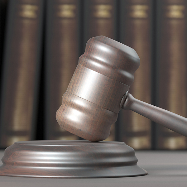 Are Canada’s Immigration tribunals the same as courts of law?