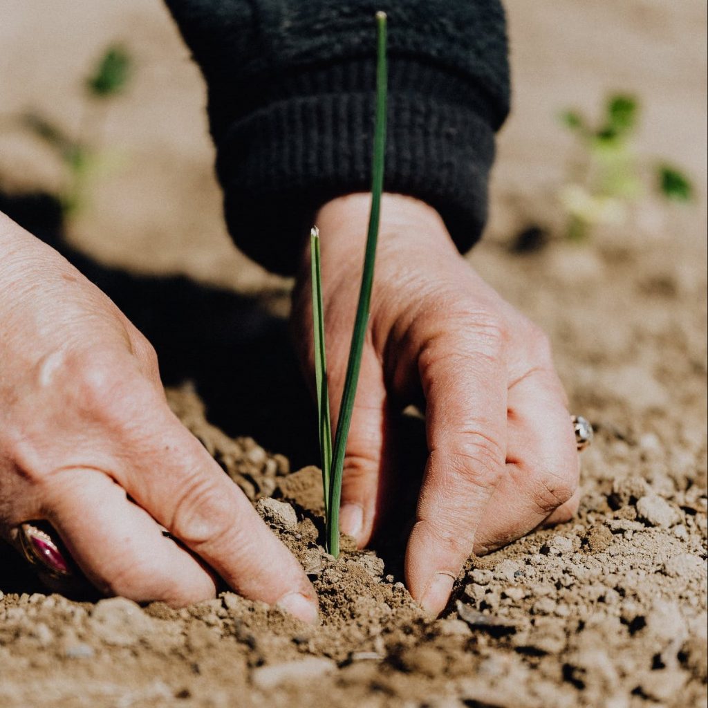 4 Industries Where Sustainability Knowledge Matters